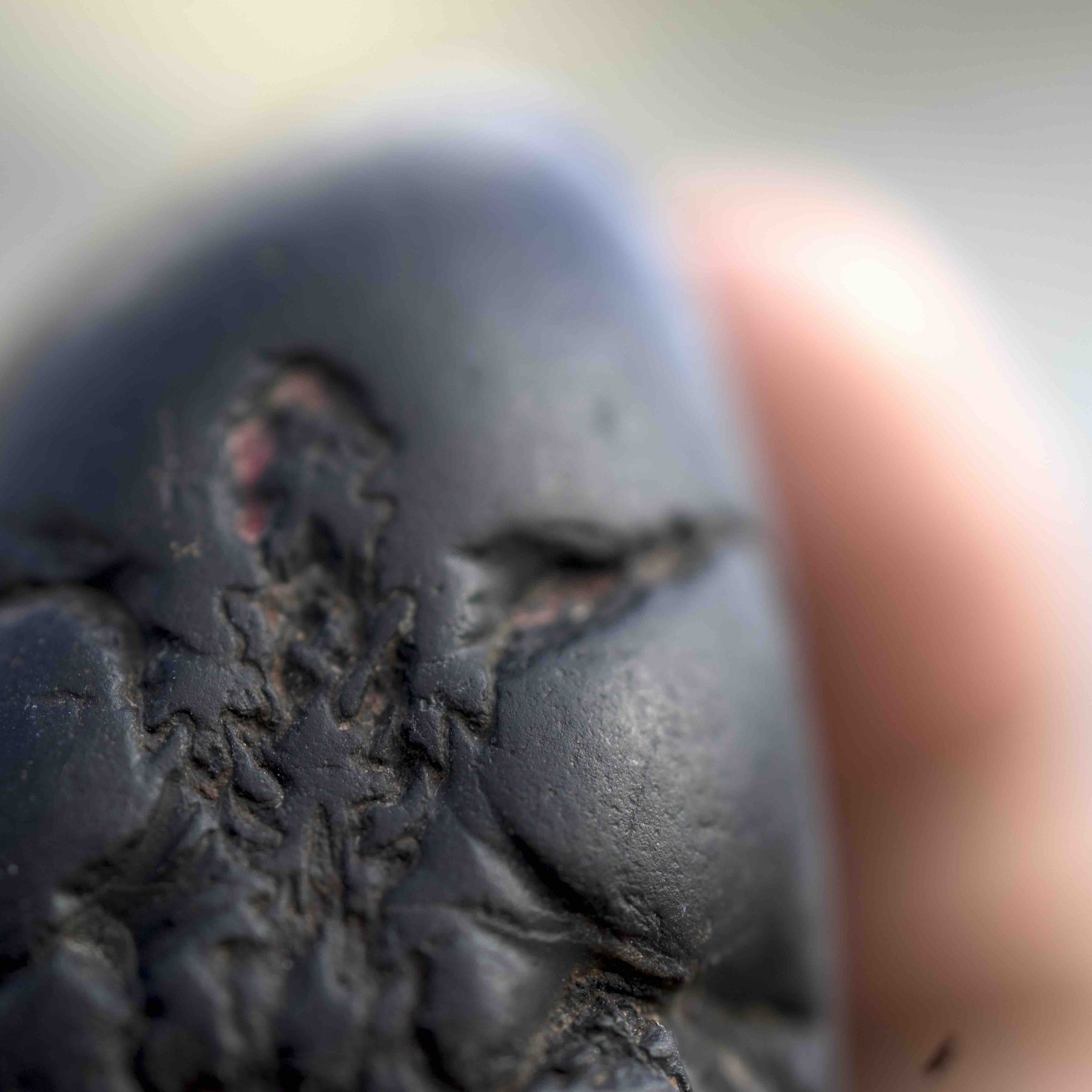 The texture of the stone, close