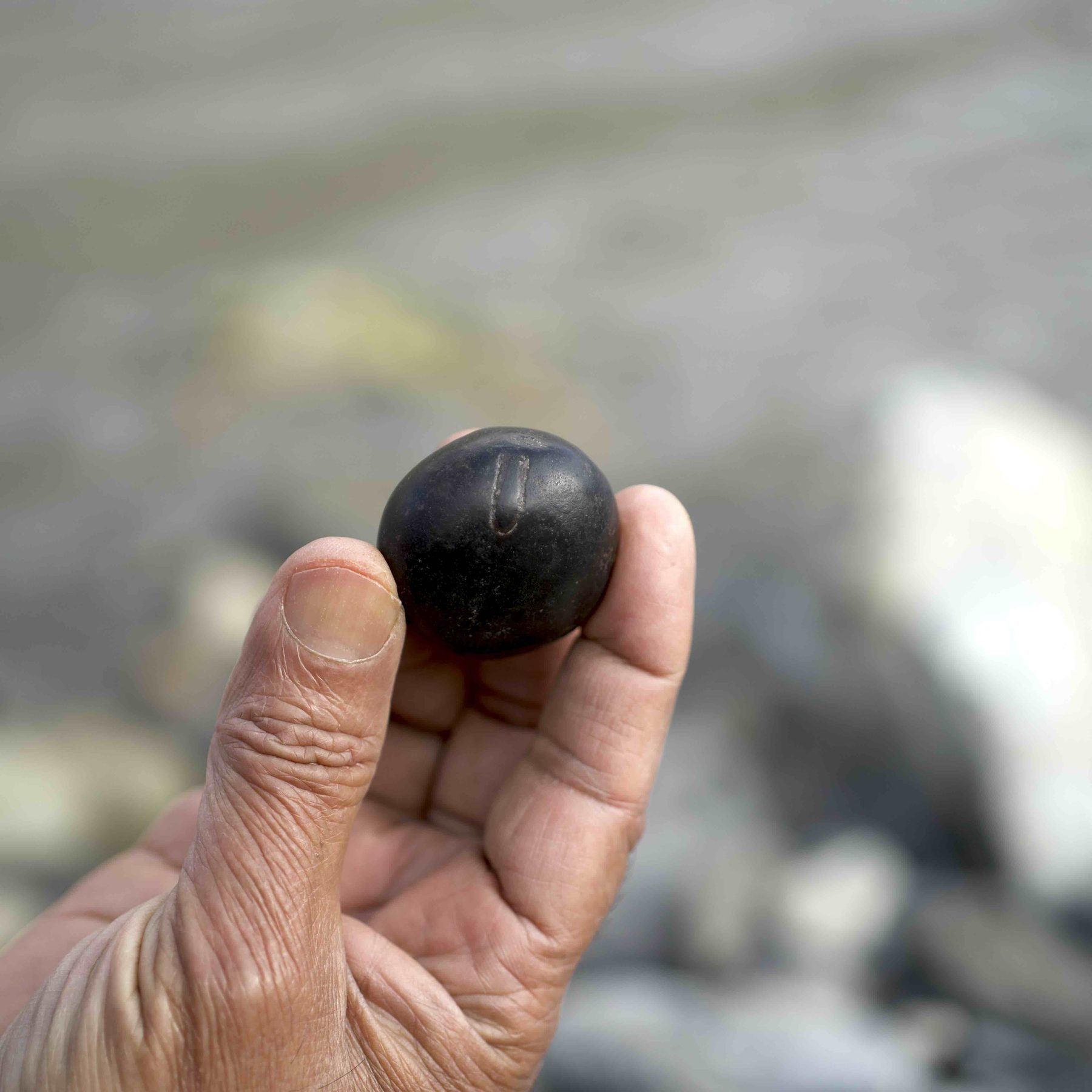 Shaligram with sacred tilak